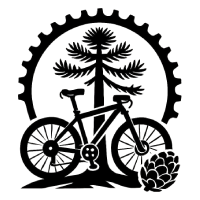 ciclistas sin miedo Temuco